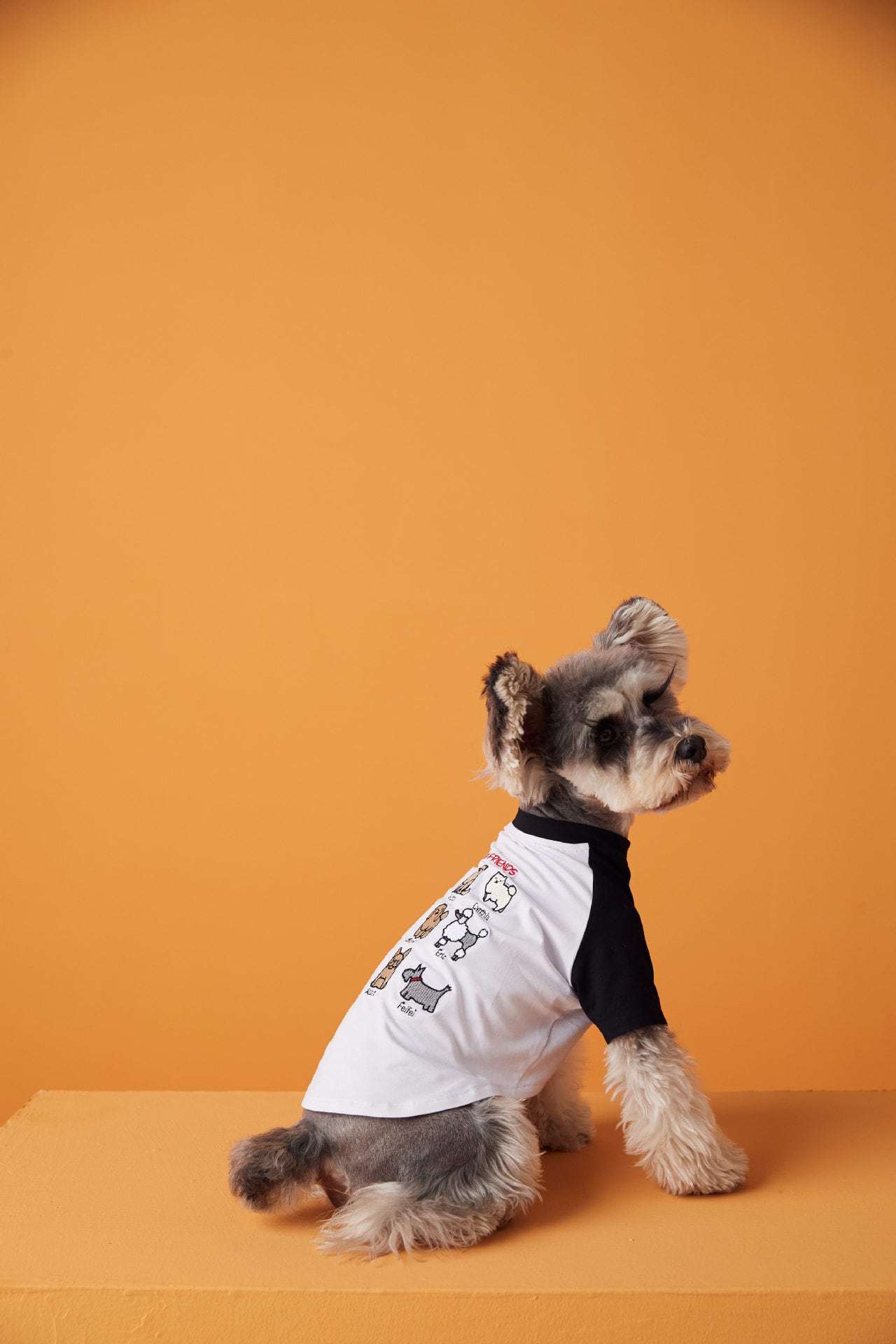 ☆わんちゃん刺繍Tシャツ☆