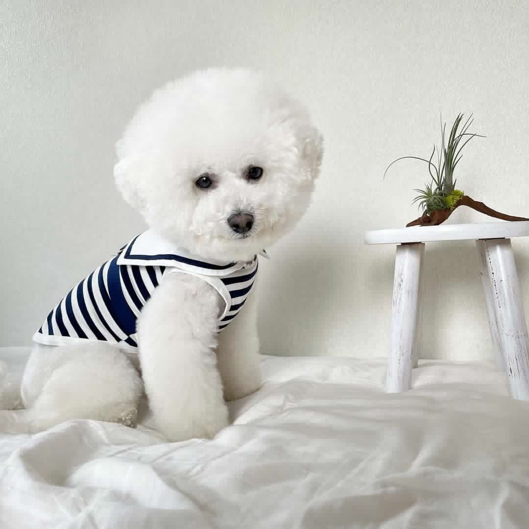 ☆ボーダーセーラートップス☆