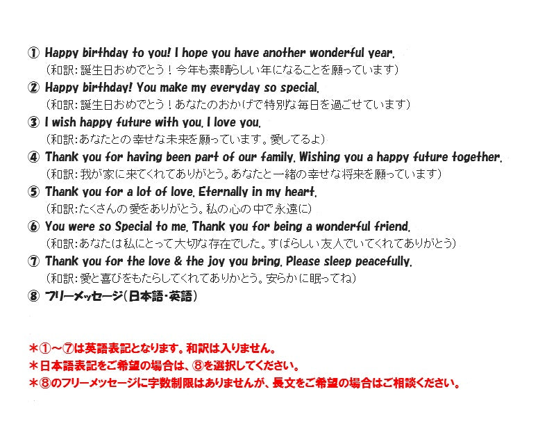 ☆メモリアルフォトプレート(金具タイプ)☆