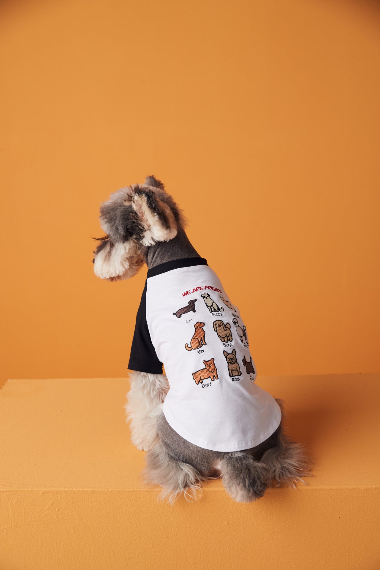 ☆わんちゃん刺繍Tシャツ☆