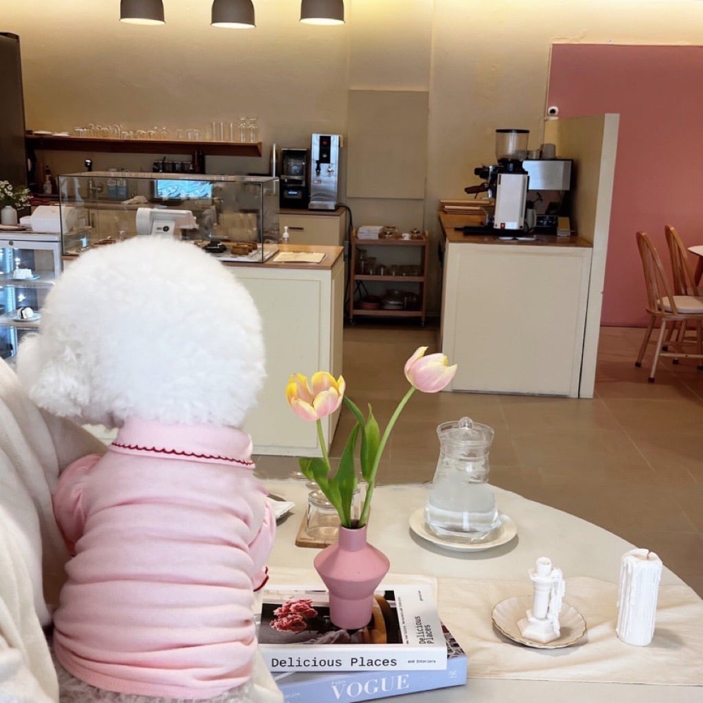 ☆チェリーパフスリーブシャツ☆