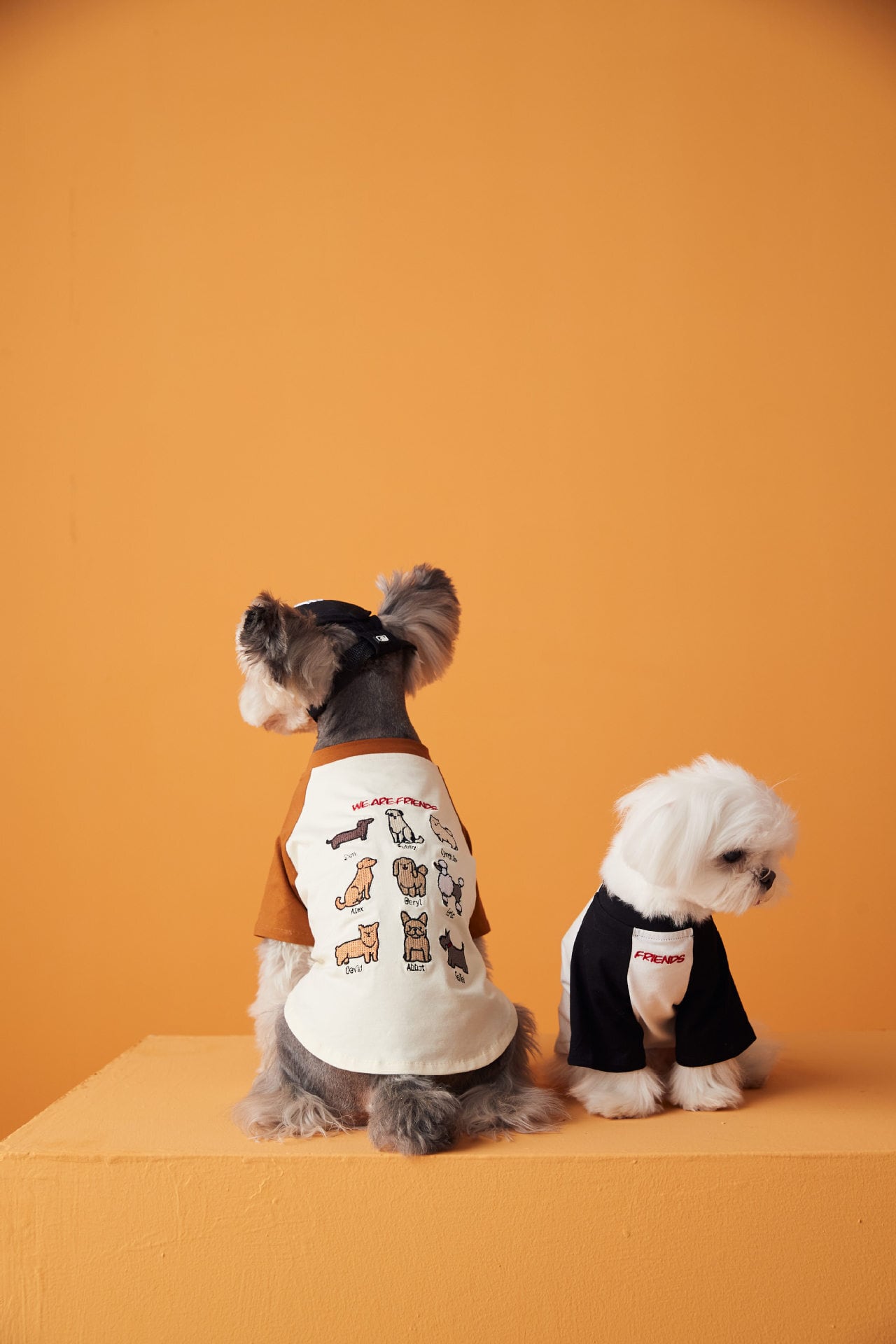 ☆わんちゃん刺繍Tシャツ☆