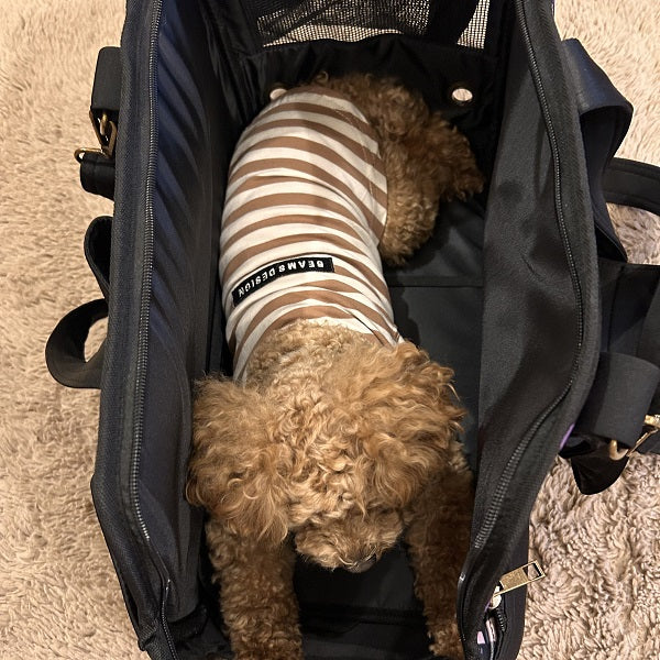 ANNA SUI(アナ スイ)ネオプレーンキャリートート|全2色