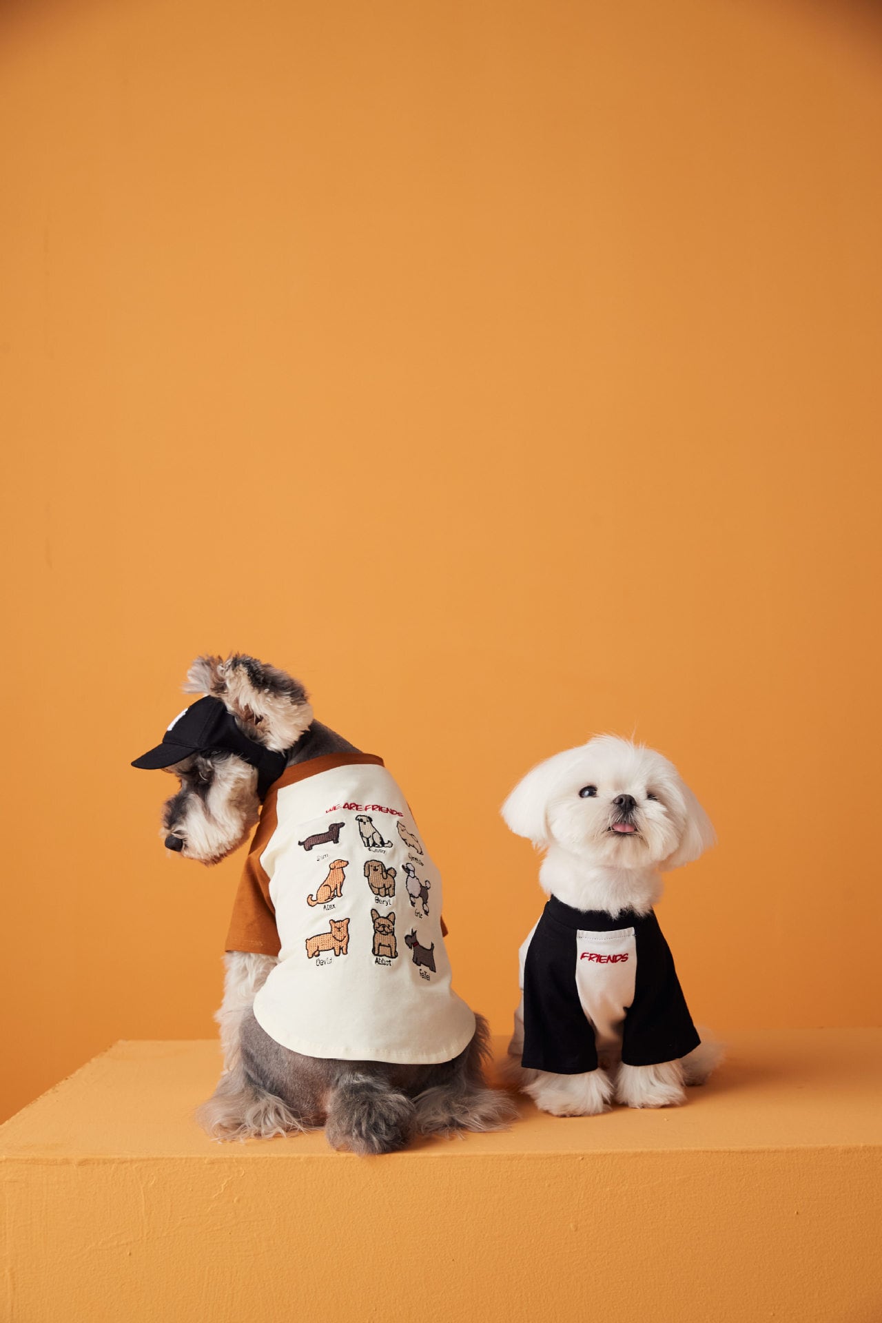 ☆わんちゃん刺繍Tシャツ☆