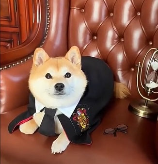 ☆ハリーポッター風マント☆