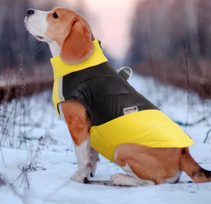 ☆バイカラーダウンベスト☆即出荷可能商品【FINAL SALE！】