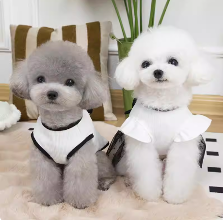 ☆Monochro-Bow（モノクロ・ボウ）トップス＆ワンピース☆