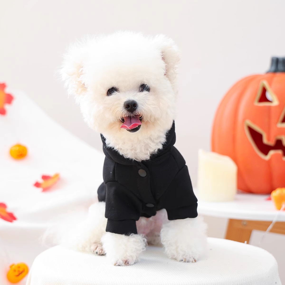 ☆ハロウィンナイトパーカー☆