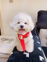 ☆マフラー付きベスト☆