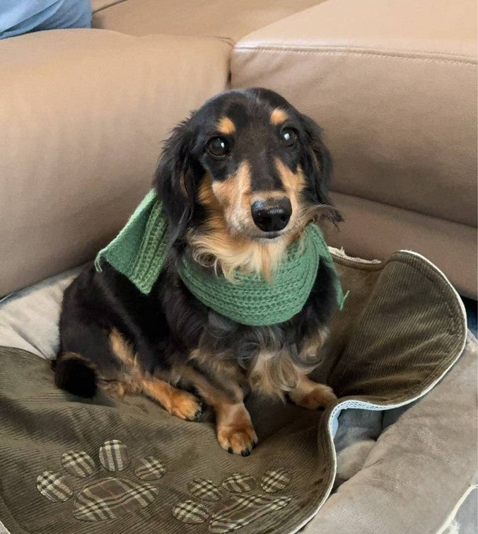 ☆韓国風ニットマフラー☆即出荷可能商品【FINAL SALE！】